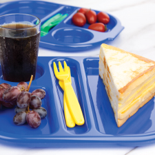 Compartment Food Trays Category