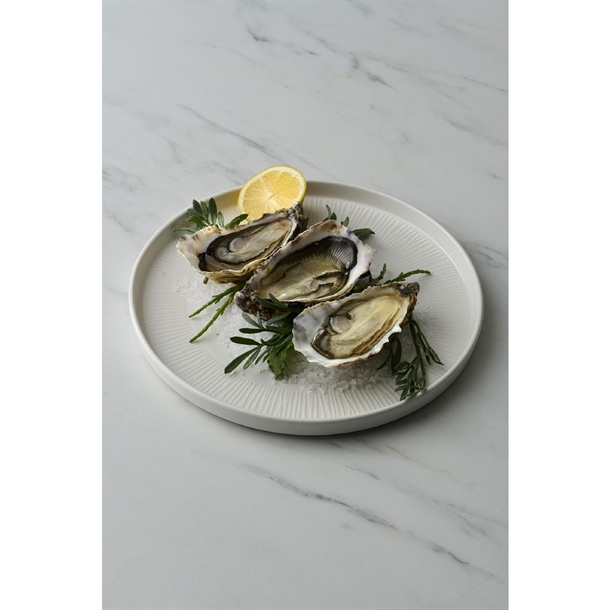 Churchill Bamboo White Walled Plate (Box 6) (B2B)