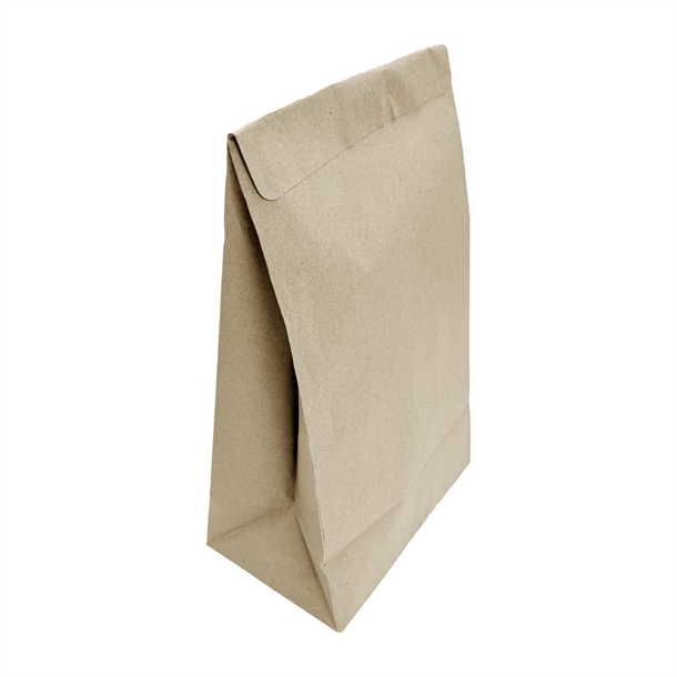 Fiesta Recyclable Sealable Take Away Bag - Medium (Pack 250)