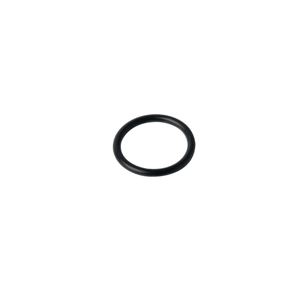 Waring "O" Ring for AF919 (B2B)