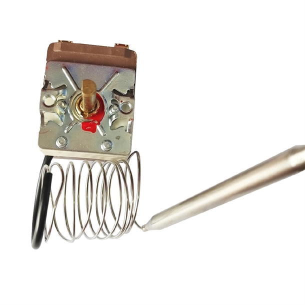 Thermostat Buffalo
