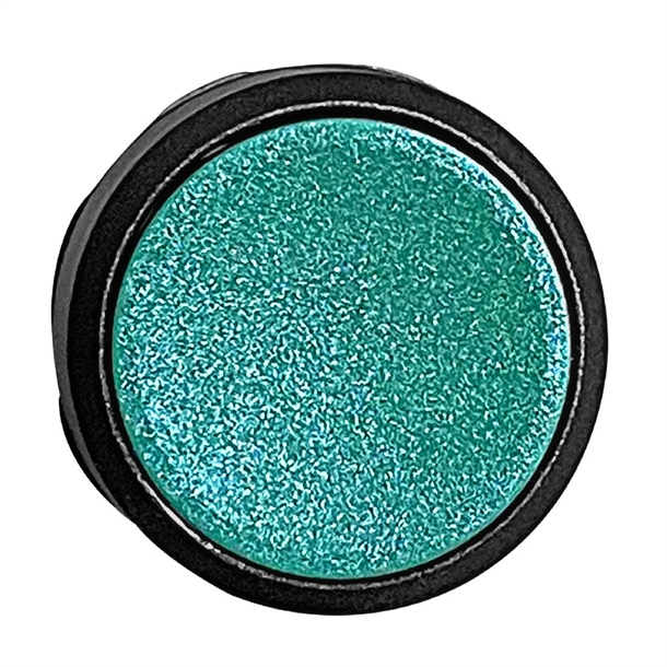 Host Green Button for HT253