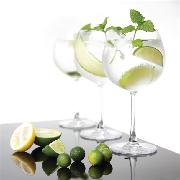 Bohemia Bar Retro Crystal Gin Glasses  680ml (2)