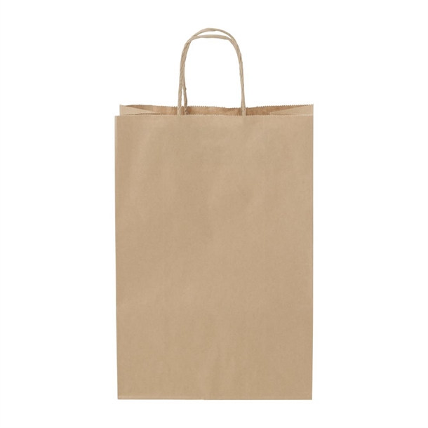 Detpak Small Paper Twist Handle Carry Bag (Pack 250) (B2B)