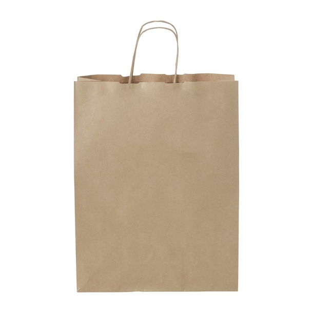 Detpak Medium Paper Twist Handle Carry Bag (Pack 250) (B2B)
