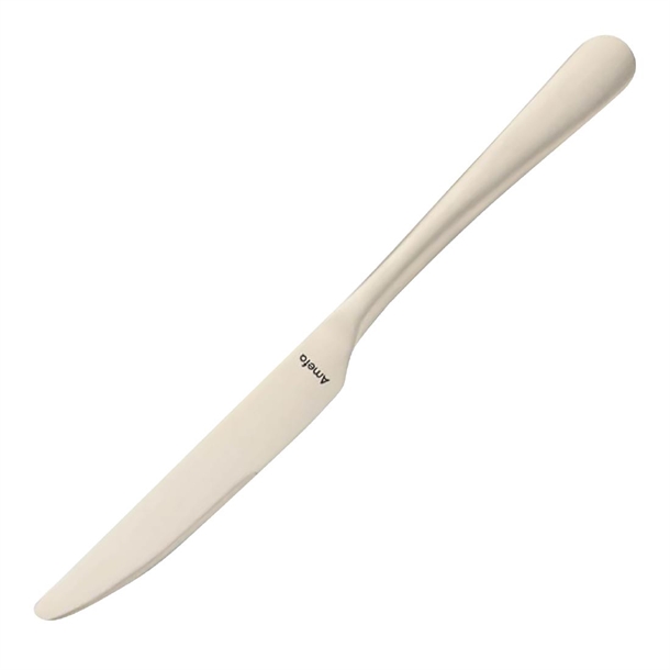 Amefa Table Knife Champagne (Box 12) (B2B)