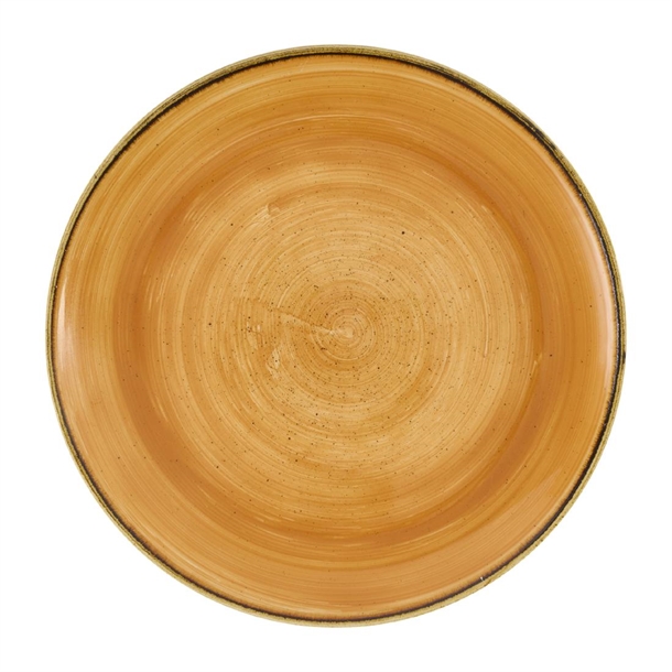 Churchill Stonecast Tangerine Evolve Coupe Plate 10.25" Box 12