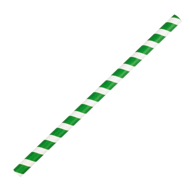Fiesta Compostable Smoothie Paper Straw Green Stripe - 210mm 10mm (Pack 250)