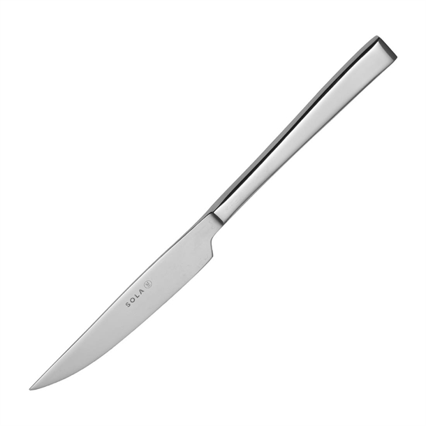 Durban Steak Knife Monobloc (Box 12) (Direct)
