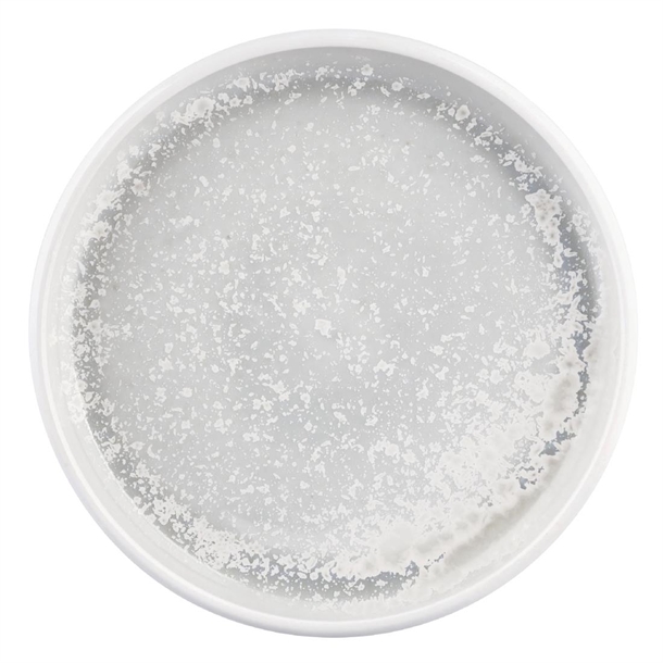 Moda Porcelain Willow Stackable Plate - 210mm (Box 6) (B2B)