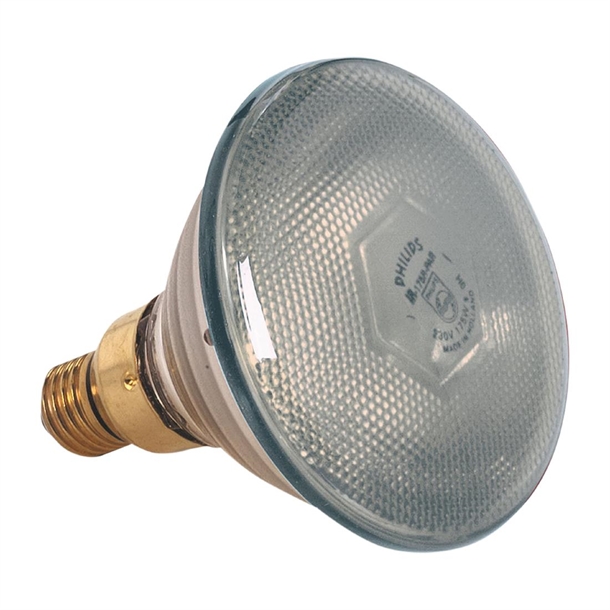 Pujadas White Bulb (Direct)