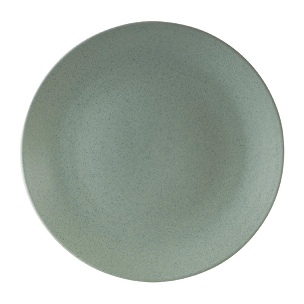 Zuma Coupe Plate Mint - 310mm (Box 3) (B2B)