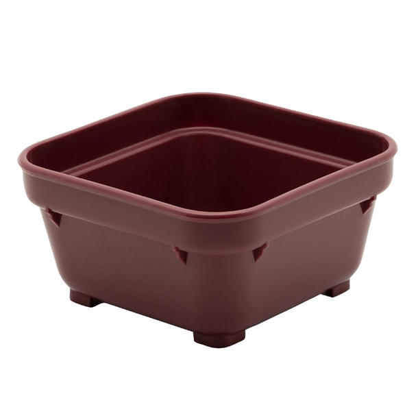 KH Healthcare Square Bowl 100mm Burgundy Pp (#19) (Box 12)