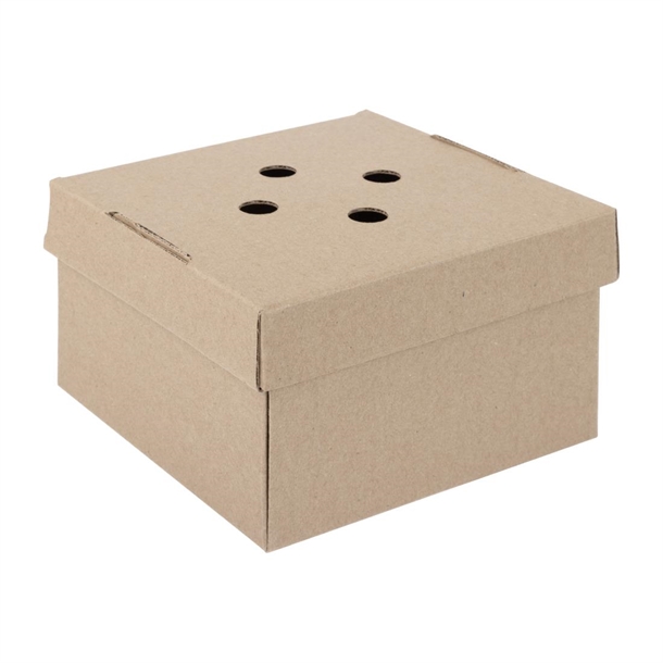 Fiesta Compostable Fold out Burger Box (Pack 100)