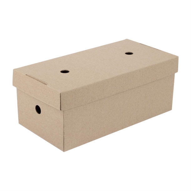 Fiesta Compostable Fold out Take away Box (Pack 100)