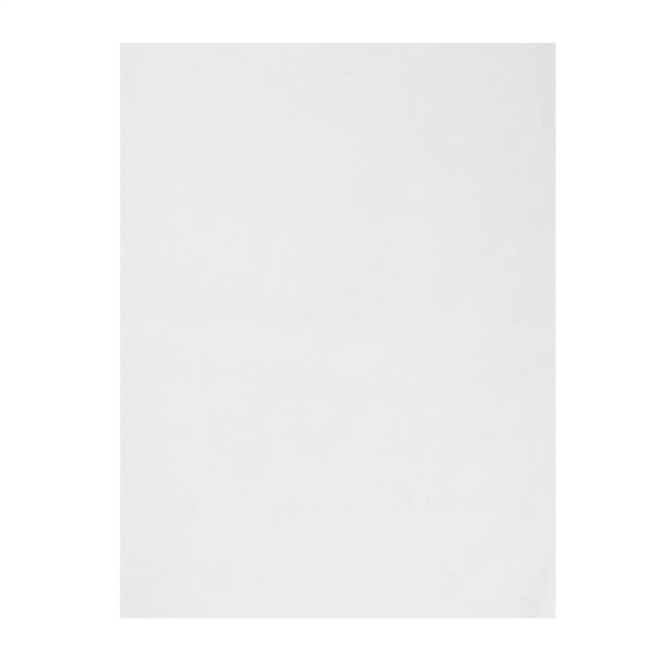 Fiesta Compostable Burger Wraps White - 250x350 (Pack 200)  FSC Recycled