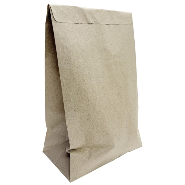 Fiesta Recyclable Sealable Take Away Bag - Large (Pack 250)