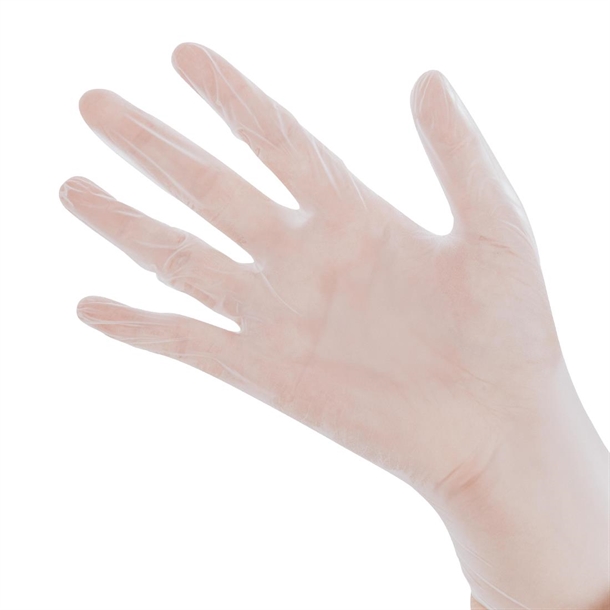 Bastion Progenics Vinyl Powder Free Gloves Clear - Size M (Pack 200)