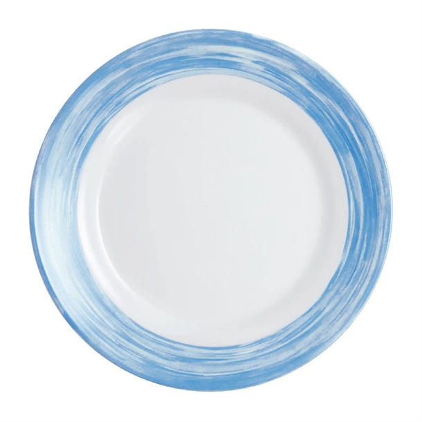 Arc Brush Blue Plate - 252mm (Pack 12) (B2B)