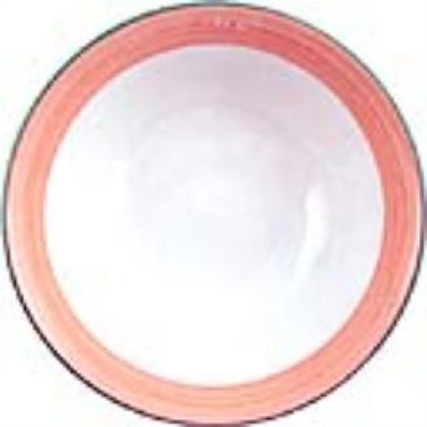 Rio Pink Oatmeal Bowl - 16.5cm 6 1/2" (Box 36) (B2B)