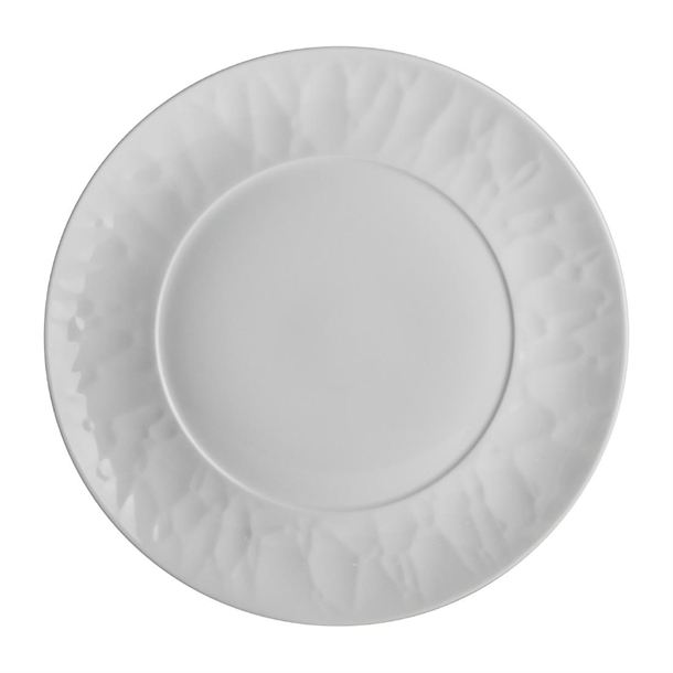 Steelite Atelier Plate 241mm (Box 24) (B2B)