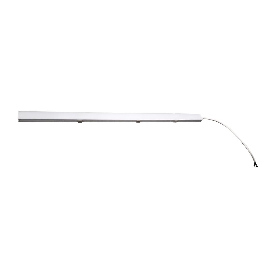 Polar White Led Light