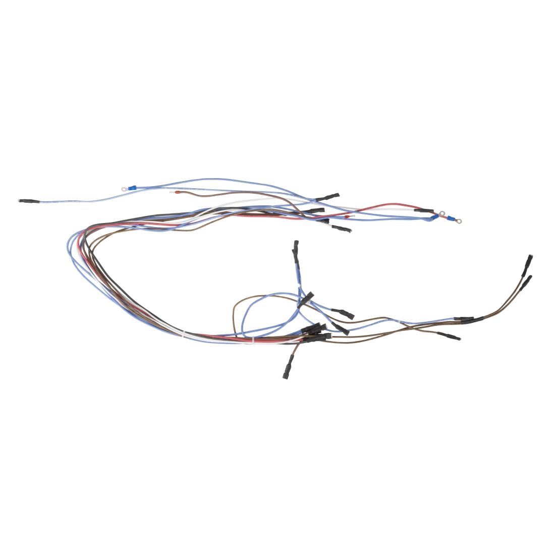Buffalo 600 Series Convection Oven Internal Wiring Group