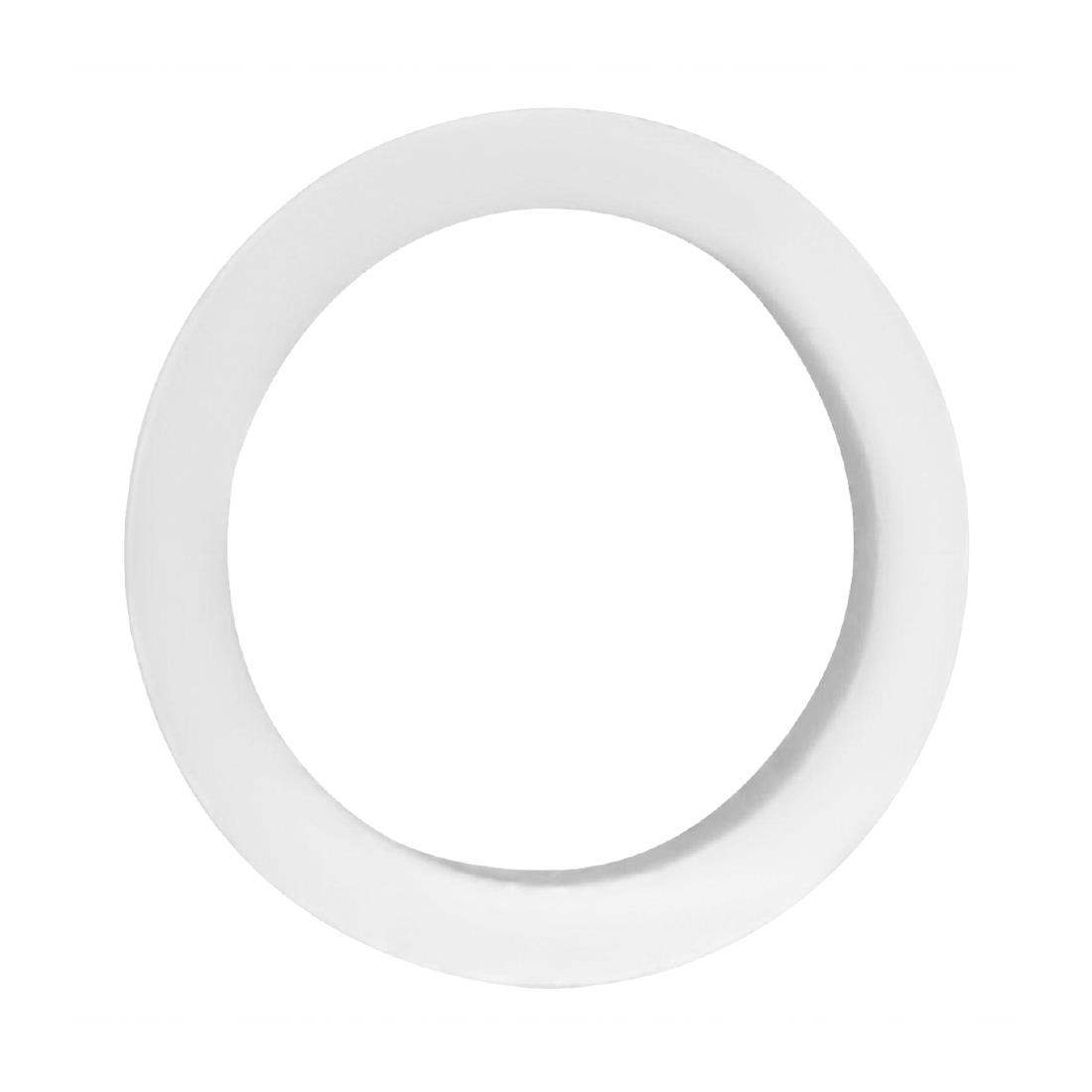 Buffalo White Teflon Gasket