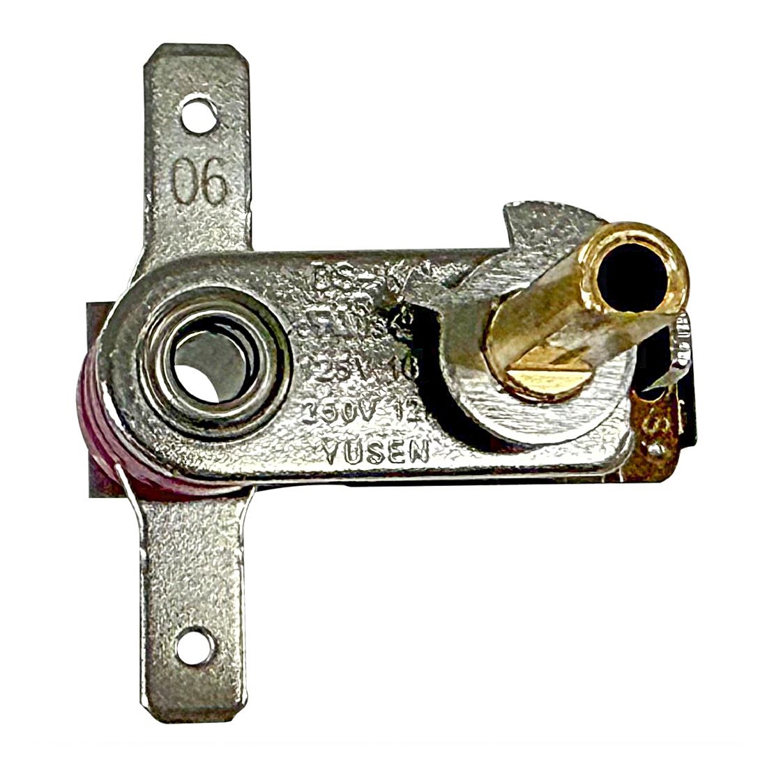 Buffalo Silver Thermostat