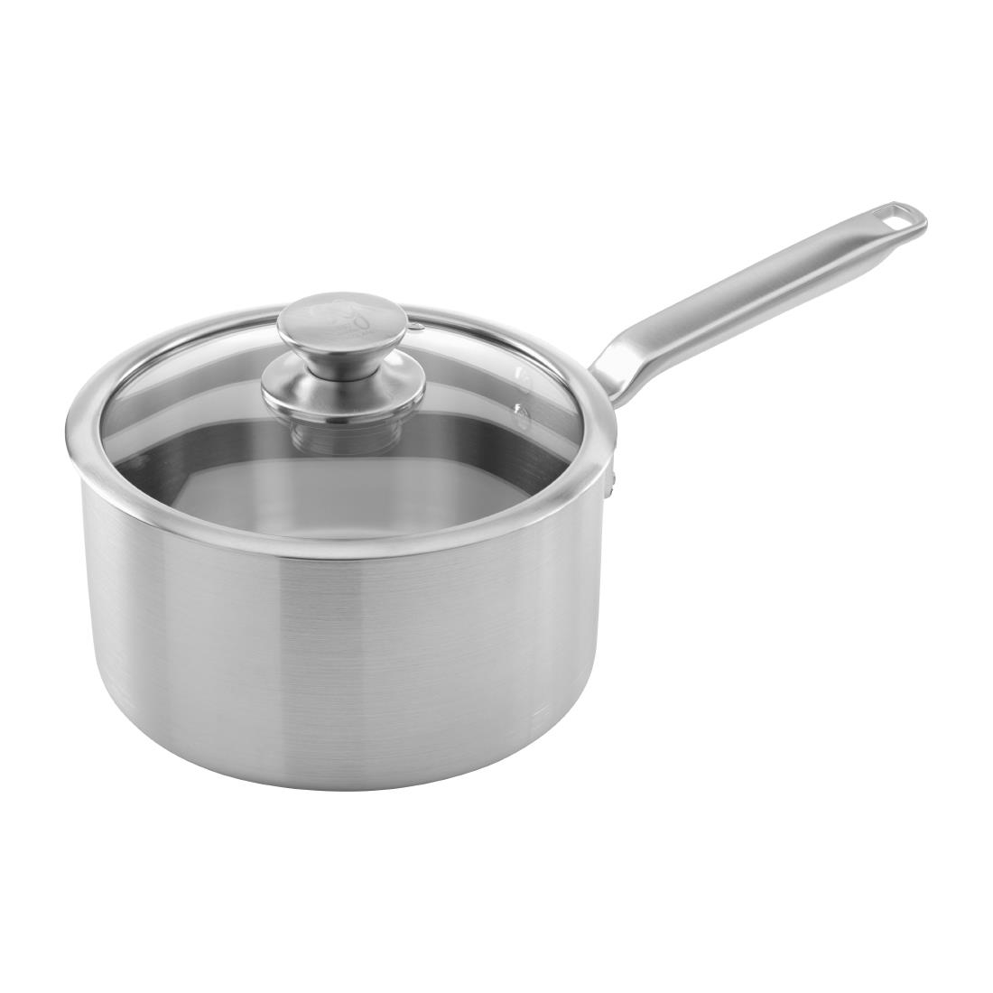 Samuel Groves Silver Stainless Steel Saucepan And Glass Lid 20Cm