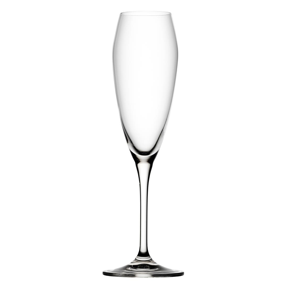 Utopia Bravissimo Champagne Flutes 240Ml (Pack 6)