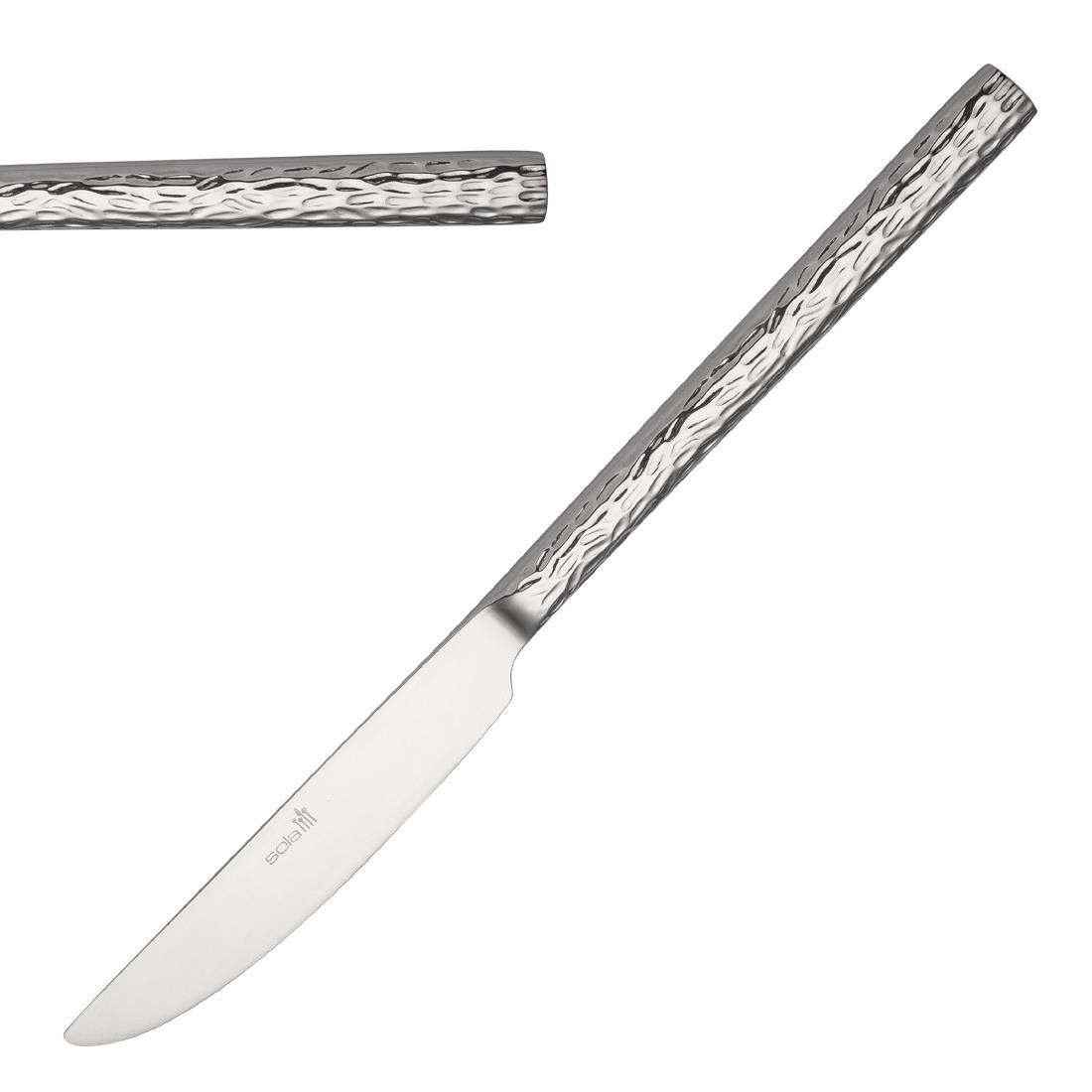 Churchiill Sola Silver Churchill Sola Lausanne Steak Knives (12 Pack)