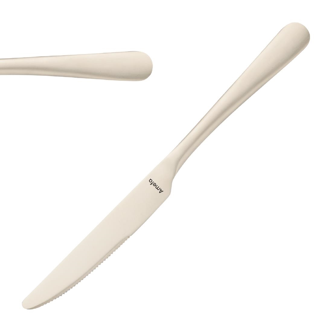Amefa Gold Austin Dessert Knives Champagne Pvd (Pack 12)