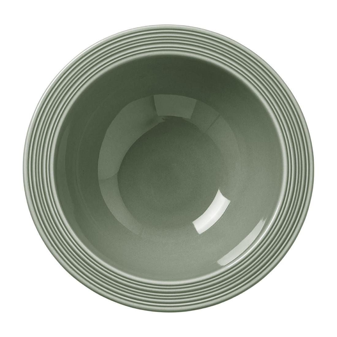 Steelite Green Concorde Oatmeal Bowls Fern 165Mm (12 Pack)