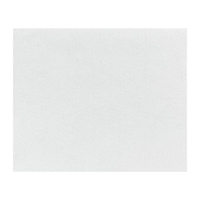 Fiesta Compostable Burger Wraps White 250x300mm (200 Pack)