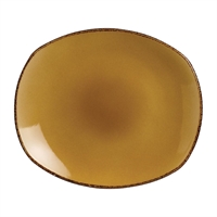 Steelite Terramesa Mustard Spice Plates 255mm (24 Pack)