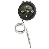 Thermostat Buffalo