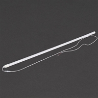 Polar T8 Lamp