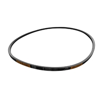 Polar riem
