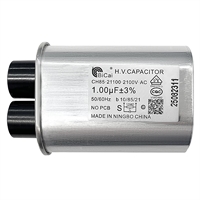 Caterlite HV Capacitor