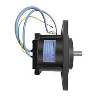 Host Motor