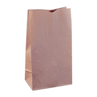 Detpak #12 Heavyweight Brown Paper Bag (500 Pack)