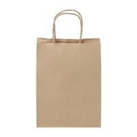 Detpak Junior Paper Twist Handle Carry Bag (250 Pack)