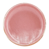 Moda Porcelain Icon Share Bowls 200mm (Pack of 6)