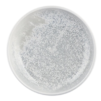 Moda Porcelain Willow Round Bowls 150mm (6 Pack)