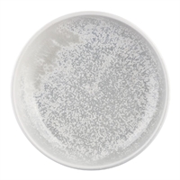 Moda Porcelain Willow Share Bowl 192mm (Pack of 6)