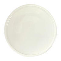 Rakstone Ease Flat Coupe Plates Ivory 240mm (12 Pack)