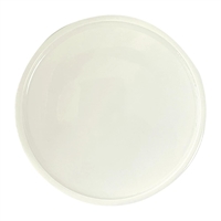 Rakstone Ease Flat Coupe Plates Dual 240mm (12 Pack)