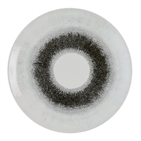 Churchill Studio Prints Fusion Black Evolve Coupe Plates 285mm (12 Pack)