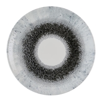 Churchill Studio Prints Fusion Black Evolve Coupe Plates 260mm (12 Pack)